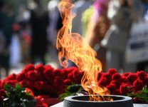 Пензенские власти прокомментировали осквернение Вечного огня школьницами