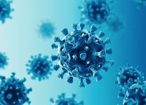 Ученые предсказали высокую вероятность появления новых коронавирусов