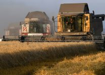 Путин раскритиковал субсидирование экспорта зерна при росте мировых цен
