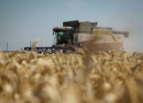 В России утвердили гибкую пошлину на экспорт пшеницы, кукурузы и ячменя