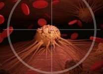 Ученые успешно испытали препарат, убивающий раковые клетки