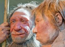 Древний человек попал в Арктику 25 тысяч лет назад, заявил археолог