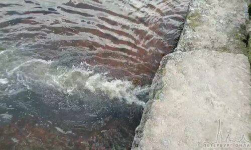 В Петербурге началась проверка по факту сброса продуктов нефтепроизводства в реку
