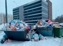 В некоторых районах Петербурга продолжают находиться свалки несмотря на работу большого количества мусоровозов