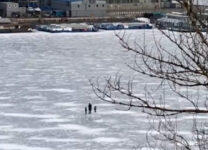 Жителей Петербурга возмутил мужчина, который гулял со своими детьми на льду
