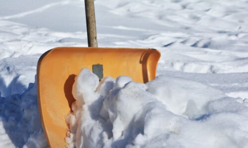Петербургские коммунальщики «убрали» Выборгский район от отсутствующего снега