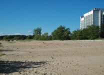 Петербуржцы возмущены ситуацией вокруг «Сестрорецкого курорта»: «Оставьте в покое общественные зоны отдыха»