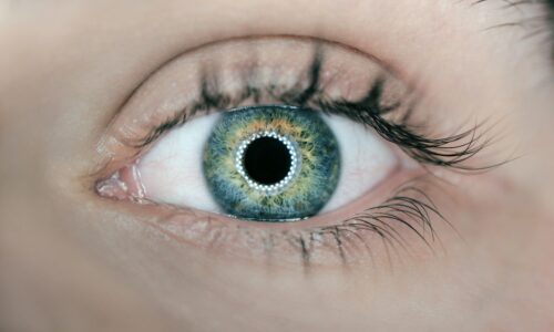 Ученые из УрФУ научили нейросети диагностировать заболевания глаз