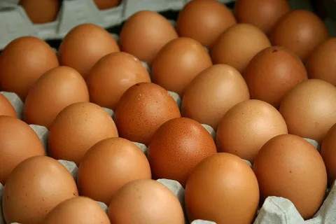 Цены на яйца растут с космической скоростью — 4,5%